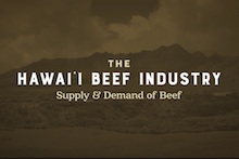 Beef supply and demand video shot